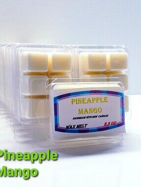 PINEAPPLE MANGO -Bath & Body Works Candle Wax Melts- $8 per pack
